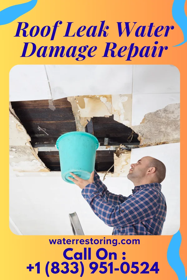 Roof Leak Water Damage Repair in Carbon, TX